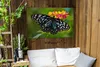 Gartenposter - 120x80 cm - Blauer Tiger Schmetterling  - Produktbild-Vorschau 3