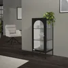A black metal display cabinet with glass doors is shown in a room with a chair and a rug. Náhľad obrázku produktu