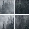 Bild auf Leinwand - Leinwandbild - Wald Baum Natur - Produktbild-Vorschau 8