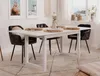 Esstisch Damian 160/200 x 90 cm-weiß Produktbild-Vorschau 10