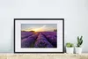 MuchoWow® Gerahmtes Poster Lavendel - Blumen - Produktbild-Vorschau 4