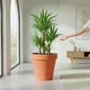 Kunststoff Pflanzkübel XXL groß - 58 cm/Terracotta - Produktbild-Vorschau 8