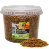 A clear, well-lit product shot of a large plastic tub filled with dried mealworms, with a pile of mealworms spilled in front of it. The label on the tub features images of animals that eat mealworms. Produktbild-Vorschau