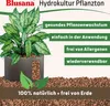 Blusana Blähton 10 Liter feine Körnung 2-4mm Produktbild-Vorschau 4