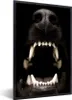 MuchoWow® MuchoWow® Gerahmtes Poster Nahaufnahme knurrender Produktbild-Vorschau 1