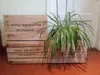 3x HOLZKISTE - ALT / 50x40x30 cm / alte Obstkiste mit Produktbild-Vorschau 2