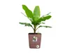 elho Greensense Aqua Care Quadrat 38 mit Integrierte Produktbild-Vorschau 6