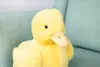 Gustaw Kaczka Cindy Teddybär Groß XXL (Gelb, 30cm) - Produktbild-Vorschau 4