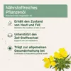 AniForte Nachtkerzenöl für Hunde & Katzen 250 ml - 100% Produktbild-Vorschau 2