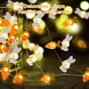 Osterhasen Lichterkette mit Karotten, 2m 20 LED, Produktbild-Vorschau 2