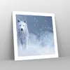 Poster - Poster ohne Rahmen - Weiß Wolf Schnee - 50x50 cm - Produktbild-Vorschau 7