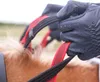 Waldhausen Safety Rein Vorderzeug  Cob / Full  Cob / Full Produktbild-Vorschau 4