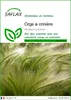 SAFLAX  - Orge à crinière - 70 graines - Hordeum Voir les images du produit 1