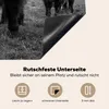KitchenYeah© Herdabdeckplatte Schottische Highlander - Kühe Produktbild-Vorschau 5