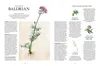Die Natur-Apotheke Anteprima dell’immagine prodotto 3