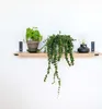 Natural Goods Berlin Regalboden EICHE, Regalbrett, Produktbild-Vorschau 2