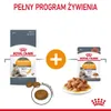 Royal Canin Hair & Skin 12x85g Nassfutter für ausgewachsene Produktbild-Vorschau 10