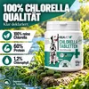 REAVET Chlorella Tabletten für Hunde 500 Stück – Produktbild-Vorschau 3