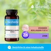 Bioherba Hühnerkollagen Typ II 250 mg 100 Kapseln Produktbild-Vorschau 4