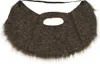 Pirate Moyen Age Costume Barbe Accessoires Mardi Gras Voir les images du produit 3
