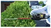 PARKSIDE PERFORMANCE 40 V Akku-Heckenschere PPAHS 40 A1 Produktbild-Vorschau 4