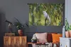 MuchoWow® Wandteppich Wandbehang Weißer Kakadu zwischen Produktbild-Vorschau 5