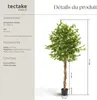 Ficus artificiel FIDA à l'aspect naturel - 180 cm Voir les images du produit 6