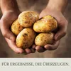Floravera Premium  Kartoffelerde Blumenerde Pflanzerde 2 x Produktbild-Vorschau 3