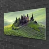Acrylglasbilder 100x50 Wandbild Druck Wiese Bäume Natur Produktbild-Vorschau 2