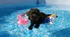 HOTREGA Jacuzzi und Pool-Pflege 3-in-1 Produktbild-Vorschau 4