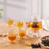 CNGLASS Glas Teekanne mit abnehmbarem Infuser 600ml Produktbild-Vorschau 8