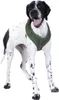 DOOG Neosport Neopren Hundegeschirr Dog Harness, Größe:40 - Produktbild-Vorschau 5