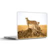 MuchoWow® Laptop Aufkleber Sticker Cover Gepard - Gras - Produktbild-Vorschau 1