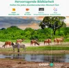 Wildkamera WLAN mit App 64MP H.264 1296P Video, 27m Produktbild-Vorschau 4