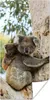 MuchoWow® Poster Koalas - Kind - Baum - Jungen - Mädchen Produktbild-Vorschau 1
