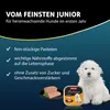 Animonda Vom Feinsten Junior con cuori di pollame e Anteprima dell’immagine prodotto 3
