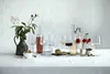 Zwiesel Glas Simplify Weinglas Leicht & Frisch Set 2-tlg. Produktbild-Vorschau 14