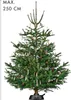 Krinner Comfort Grip M Green Line Produktbild-Vorschau 8