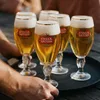 Bicchieri da birra Stella Artois - Calici - 250 ml - Anteprima dell’immagine prodotto 3