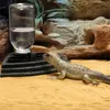 Navaris Reptilien Wasserspender - Großes Volumen 400 ml - Produktbild-Vorschau 7