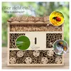 WILDLIFE HOME Hôtel pour abeilles Hôtel pour insectes avec Voir les images du produit 3