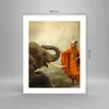 Poster - Poster ohne Rahmen - Elefant Mönch Stoßzahn - Produktbild-Vorschau 4