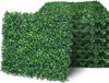Grüne Wand - Pflanzenwand mit Buchsbaum Produktbild-Vorschau 9