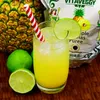 VITAVEGGY Früchte-Püree ANANAS 1kg ohne Aroma- Farb- & Produktbild-Vorschau 3