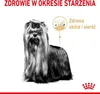 ROYAL CANIN Yorkshire Terrier Adult 8+ 3kg Podgląd zdjęcia produktu 4