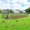 Kurnik Izrielar 3x8x2 m z dachem kopułowym, ocynkowana Podgląd zdjęcia produktu 13