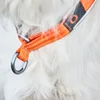 Non-stop dogwear CRUISE Collar orange | 150 | Halsband, Produktbild-Vorschau 2