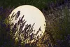 A glowing spherical garden lamp is nestled amongst lavender plants in a garden setting. Anteprima dell’immagine prodotto