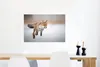 MuchoWow® Poster Fuchs - Jagd - Schnee 60x40 cm - Produktbild-Vorschau 5