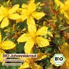 Samenliebe  Johanniskraut Samen | Echtes Johanniskraut - Produktbild-Vorschau 4